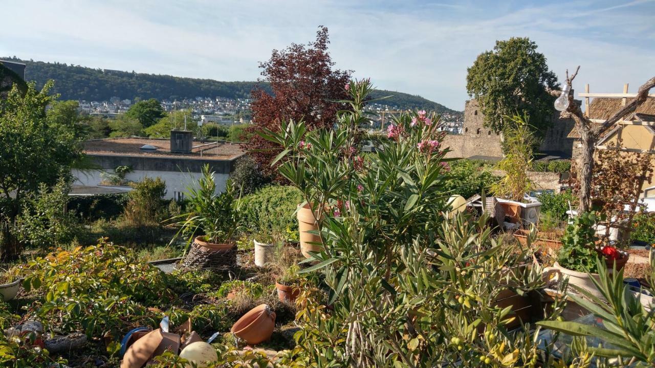 Artstudio Rudesheim Apartment Ruedesheim am Rhein Exterior photo